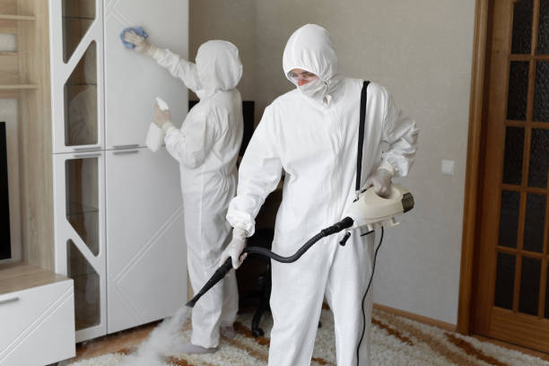 Best Mold Prevention Services  in Newington Forest, VA